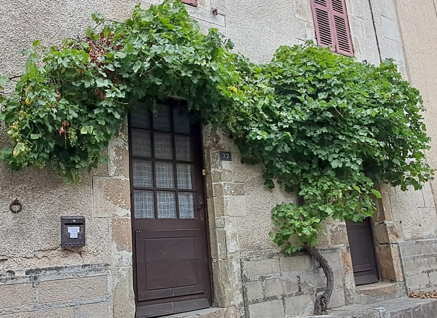 maison avec une treille rue des remparts à Châteauponsac.jpg