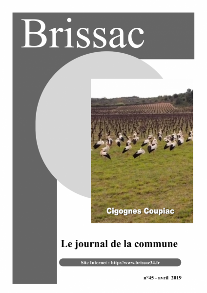 page-de-garde 45.png