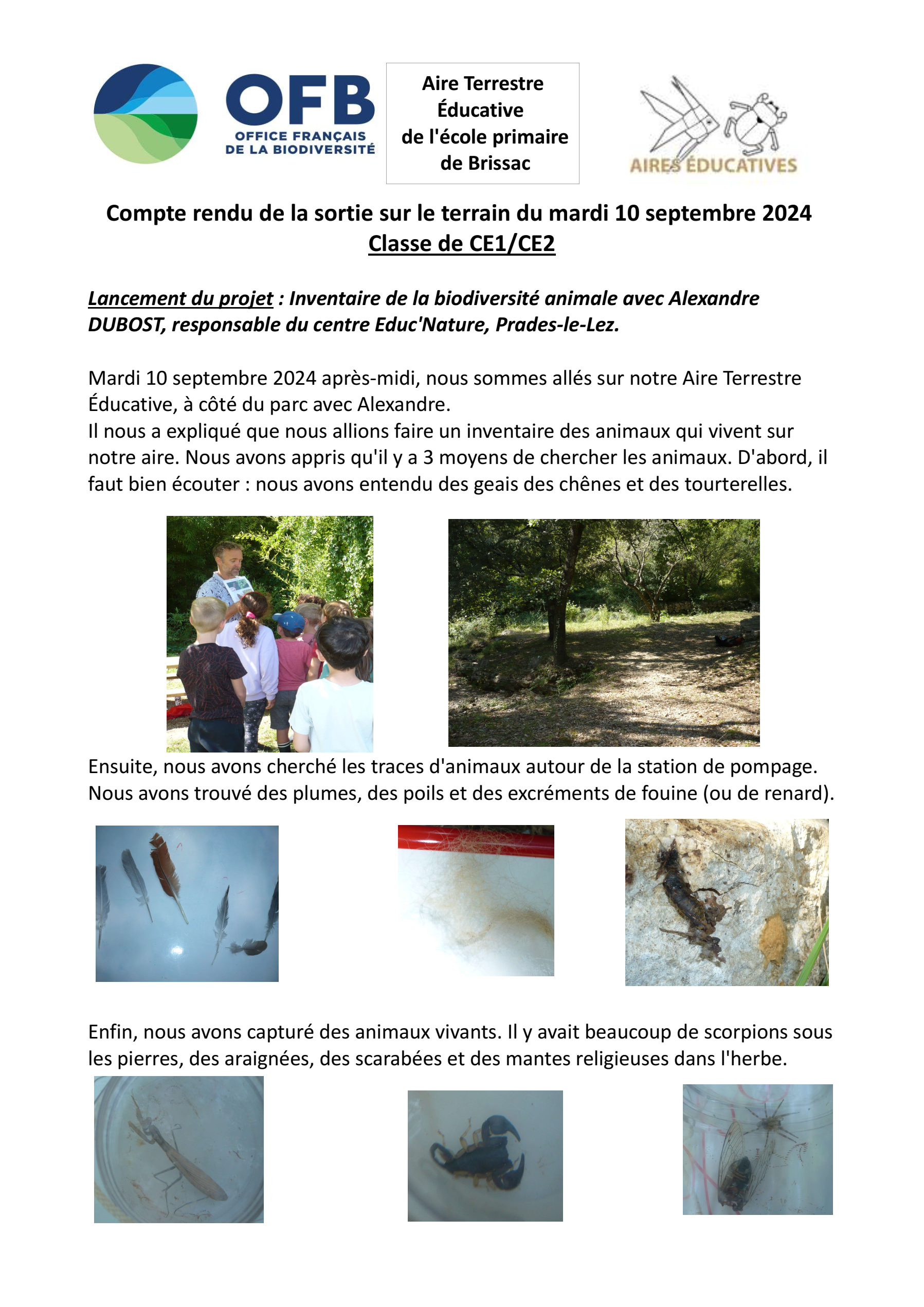 ATE 10 septembre.png