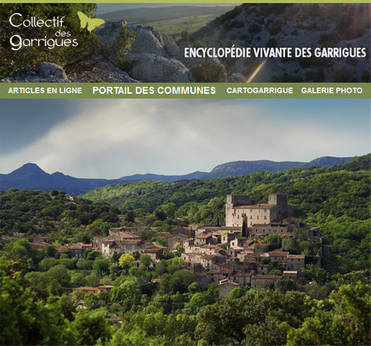 Encyclo_Garrigues_01_Encyclo.png