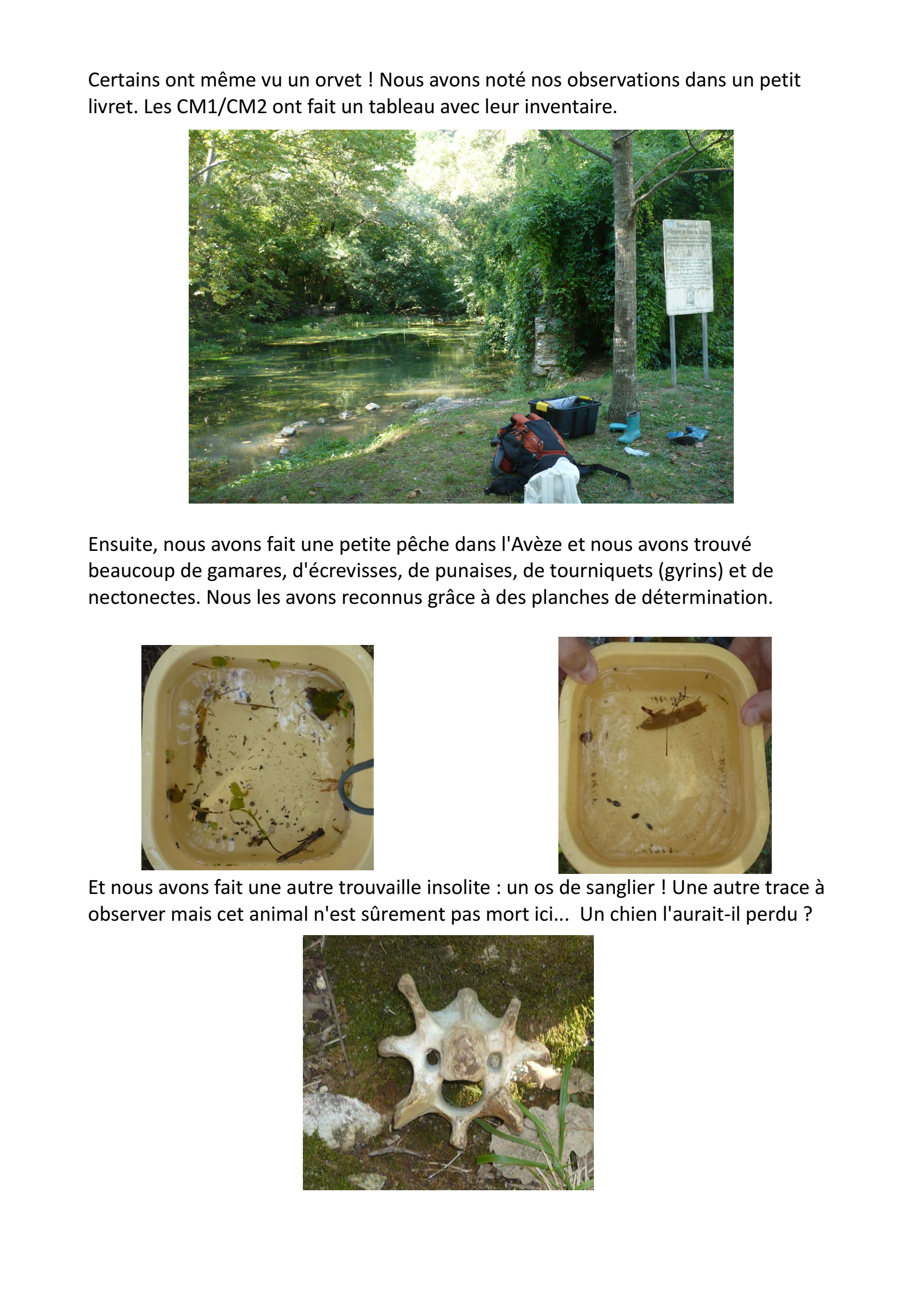 ATE 10 septembre bis.png