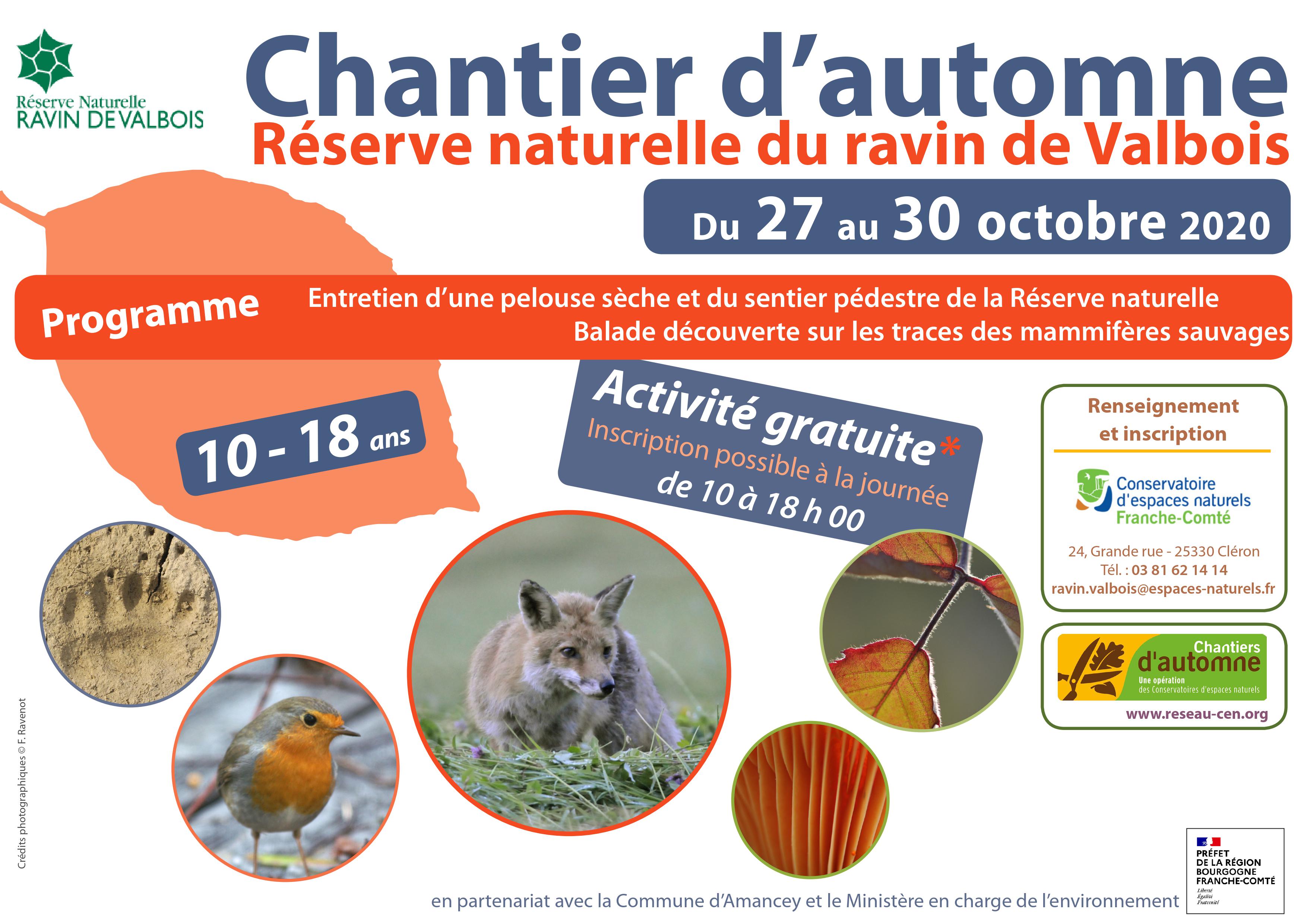 Chantier d_automne 2020.jpg