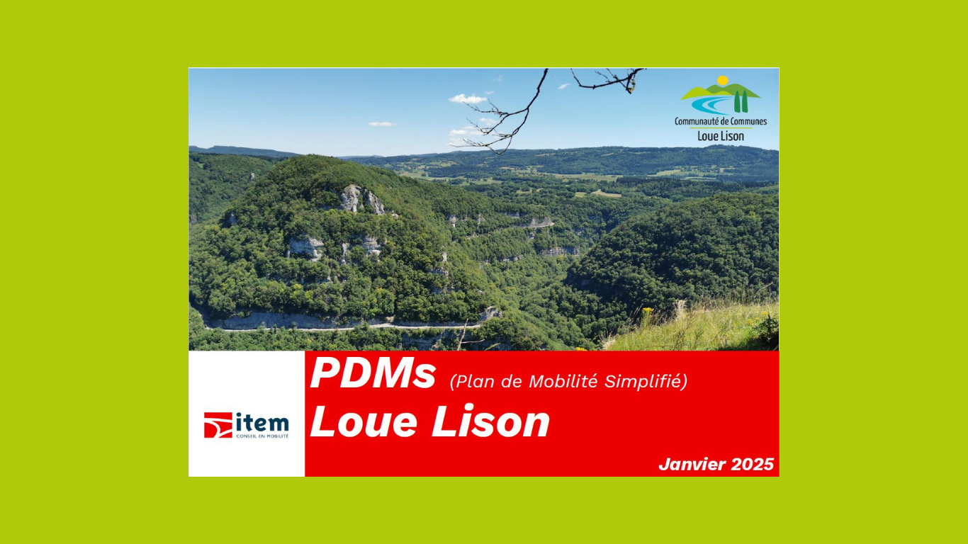 PDMs consultation pub 2025 _1_.png