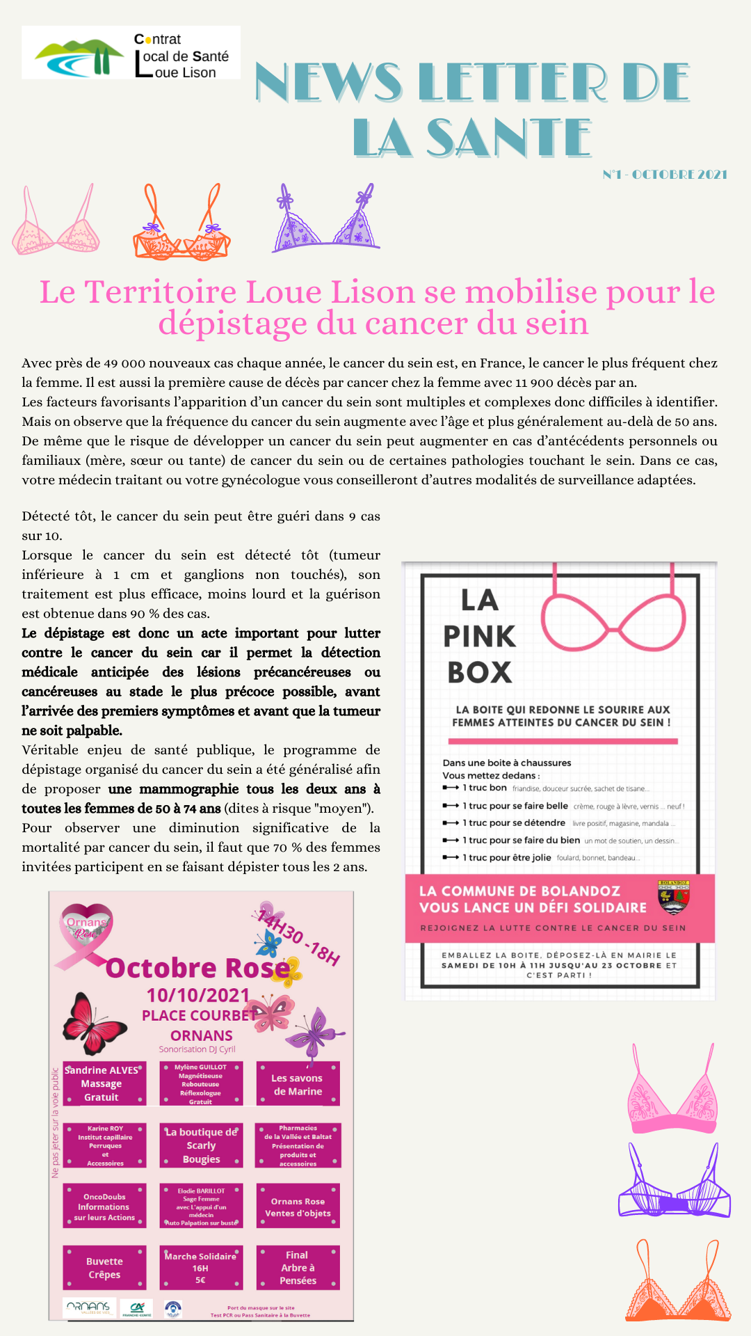 Orange et Violet Soutien-gorge Cancer du Sein Sensibilisation  Rose Octobre Instagram Story.png