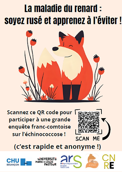 maladie du renard.png