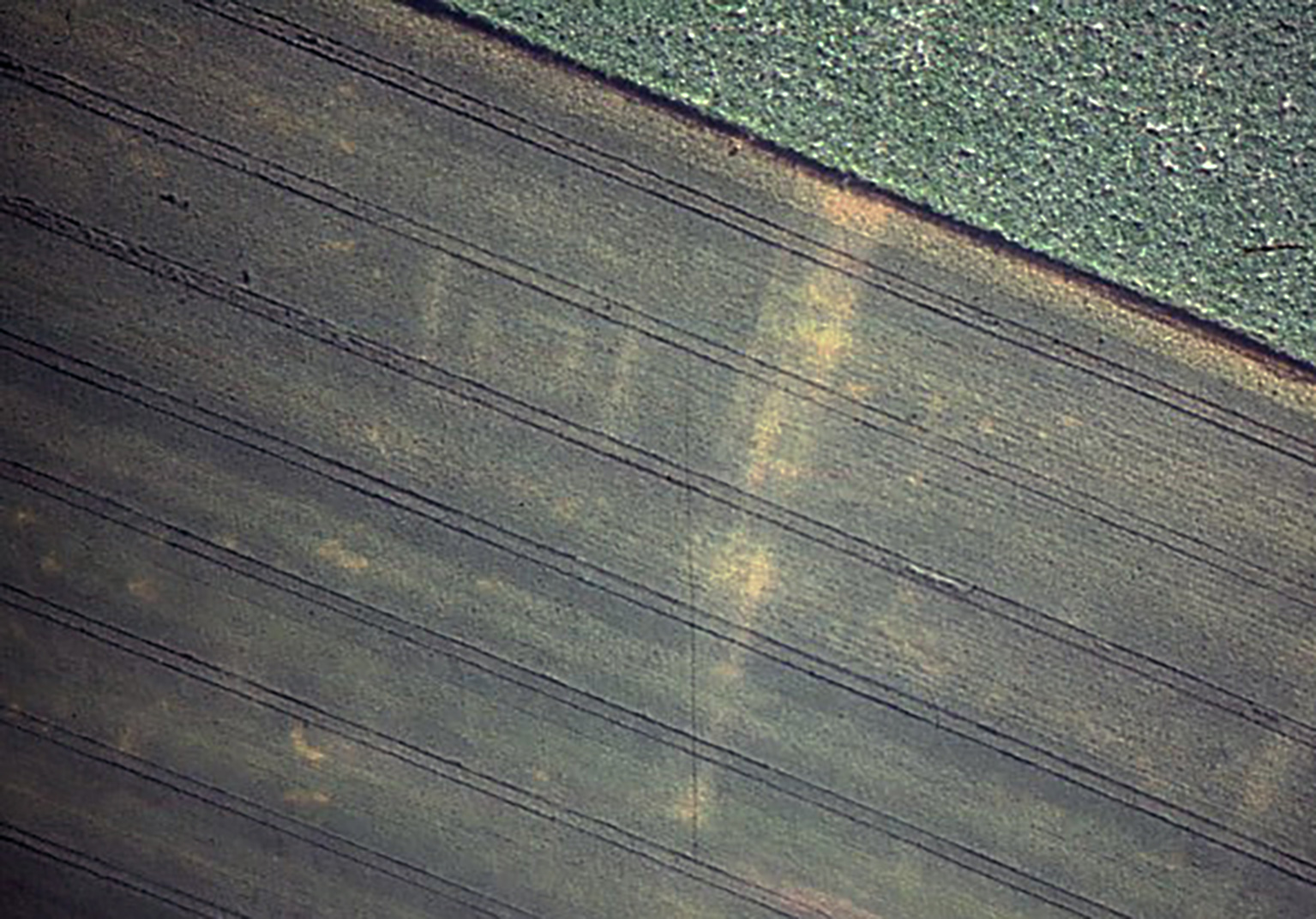 9- Fanum ville basse.jpg