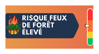 Affiche feux de forêt.png