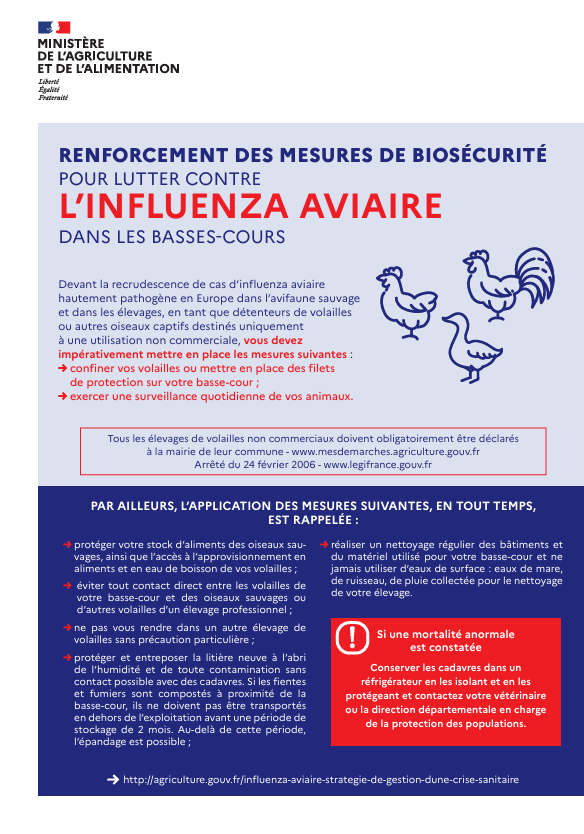 influenza aviaire.png