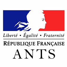 ants.png