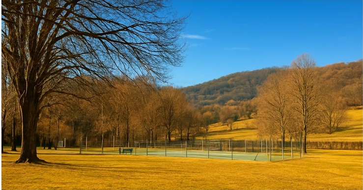 Terrain de Tennis.jpg