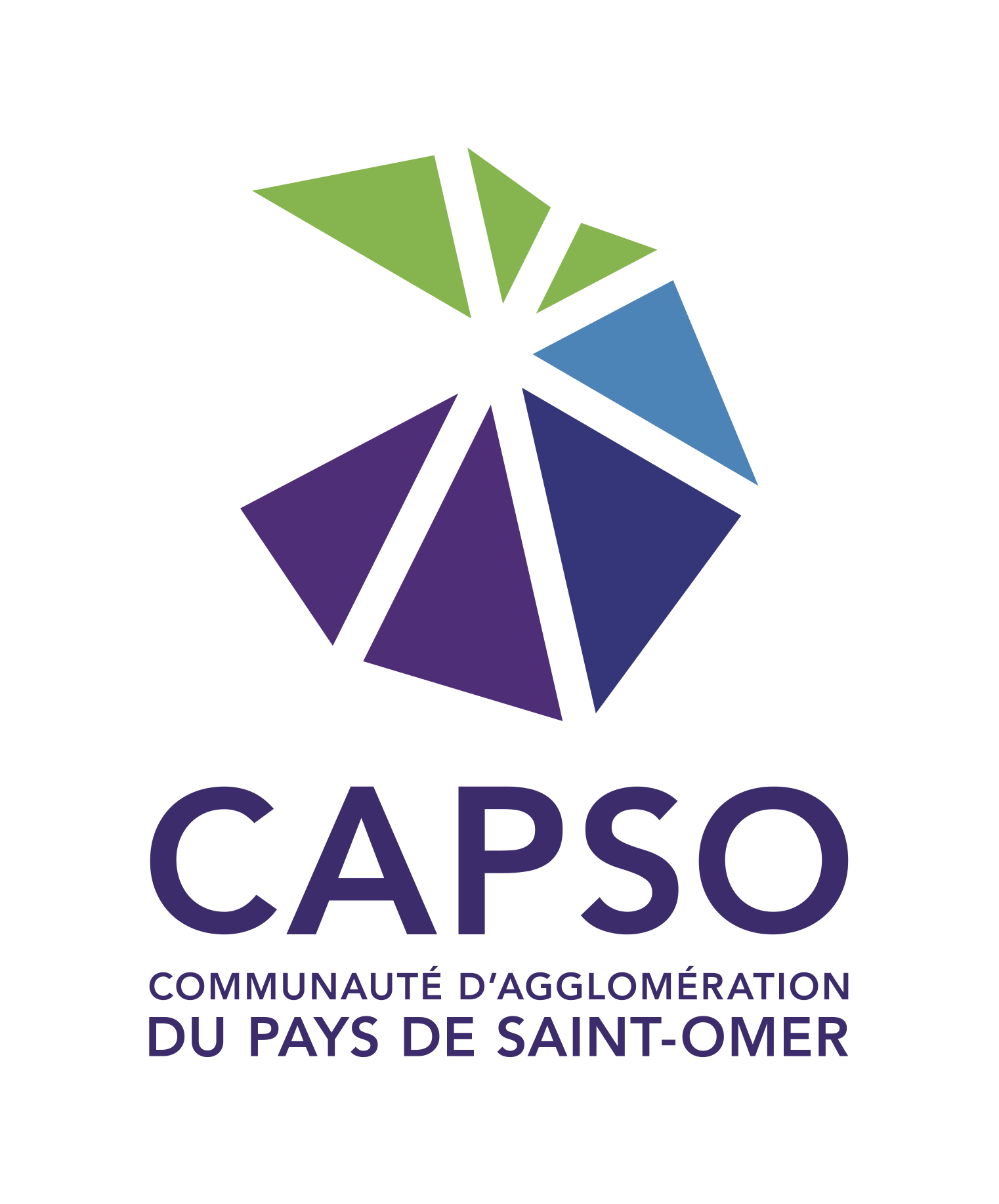 LOGO CAPSO.jpg