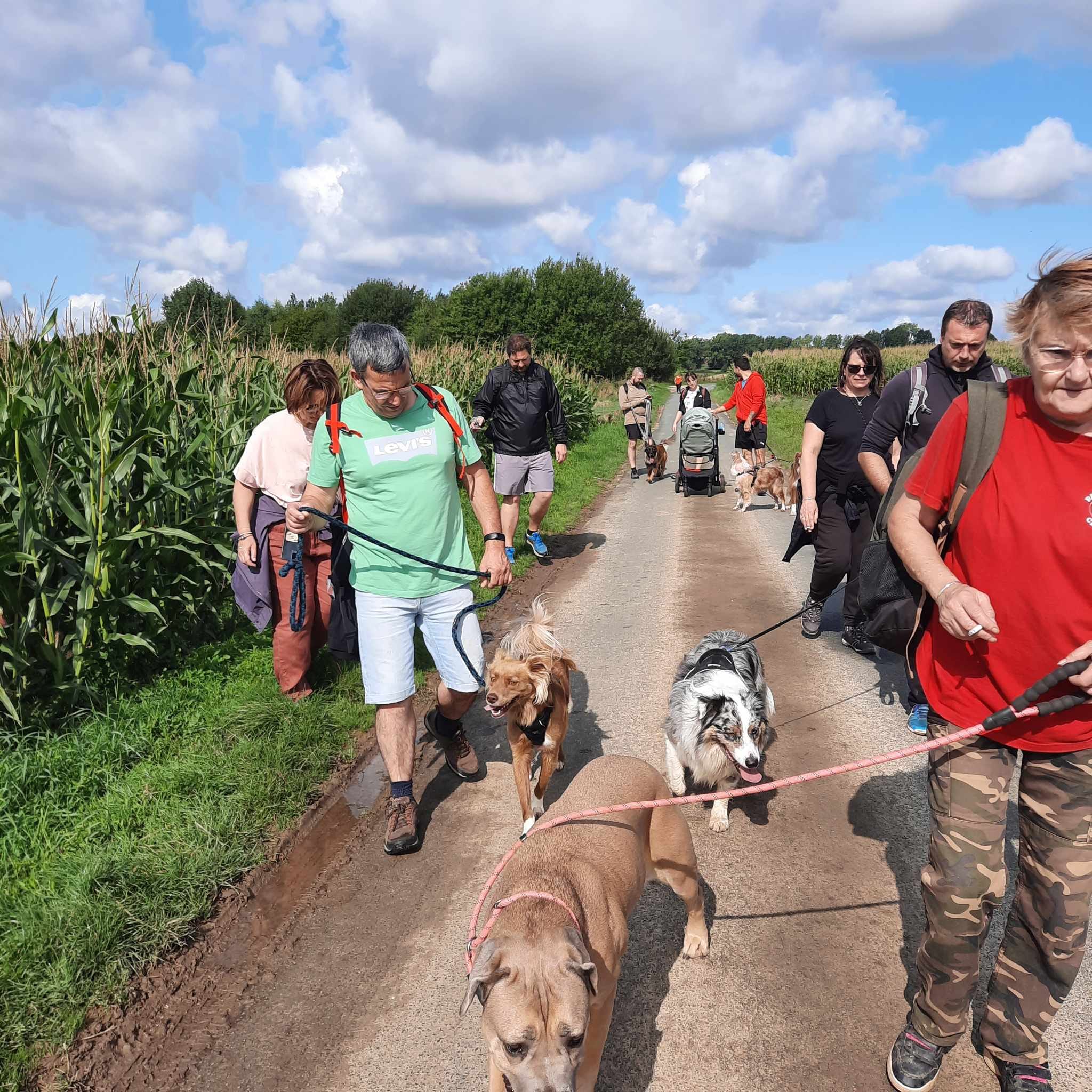 Les randonnées club canin-2.jpg