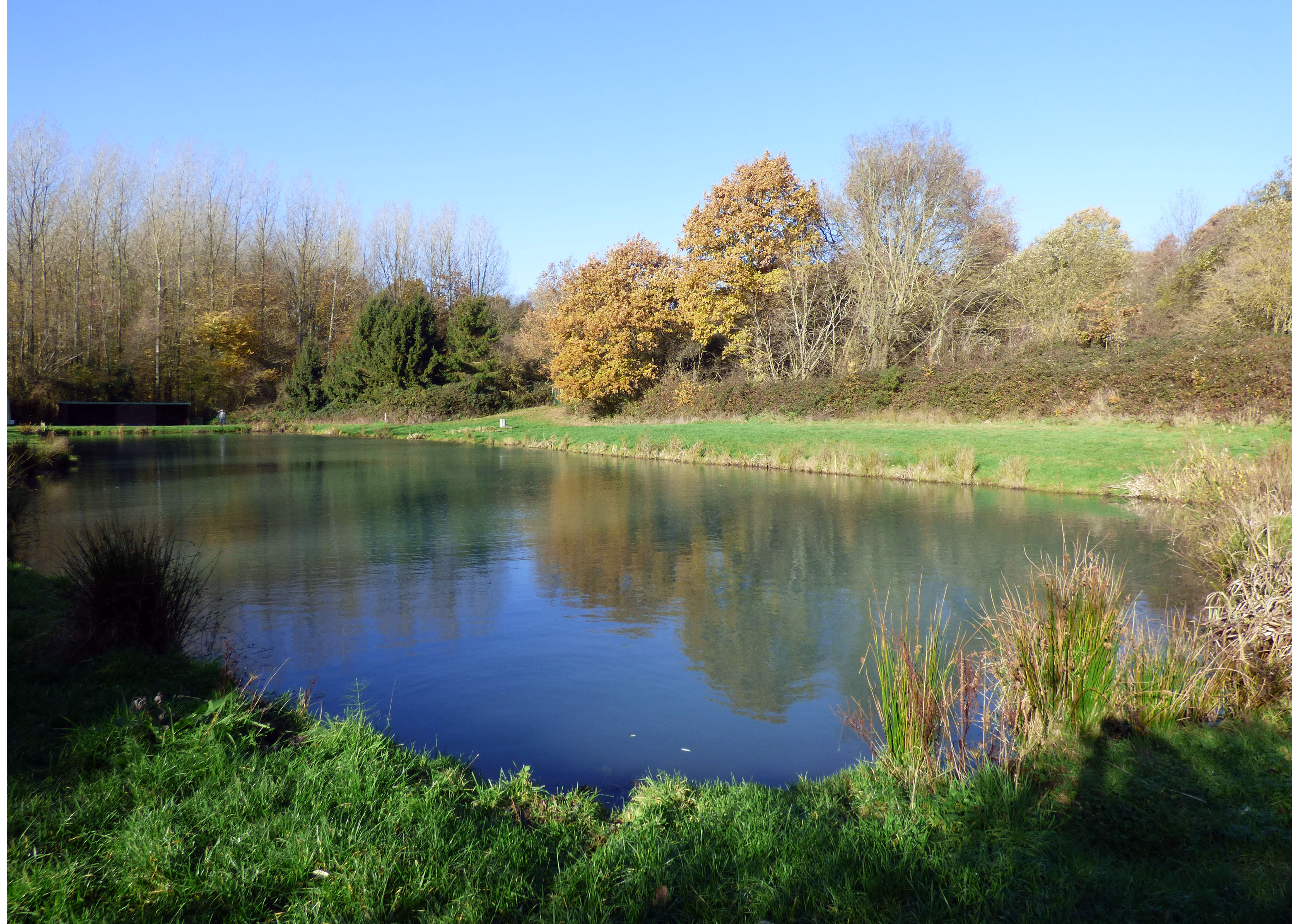 etang peche 2.jpg