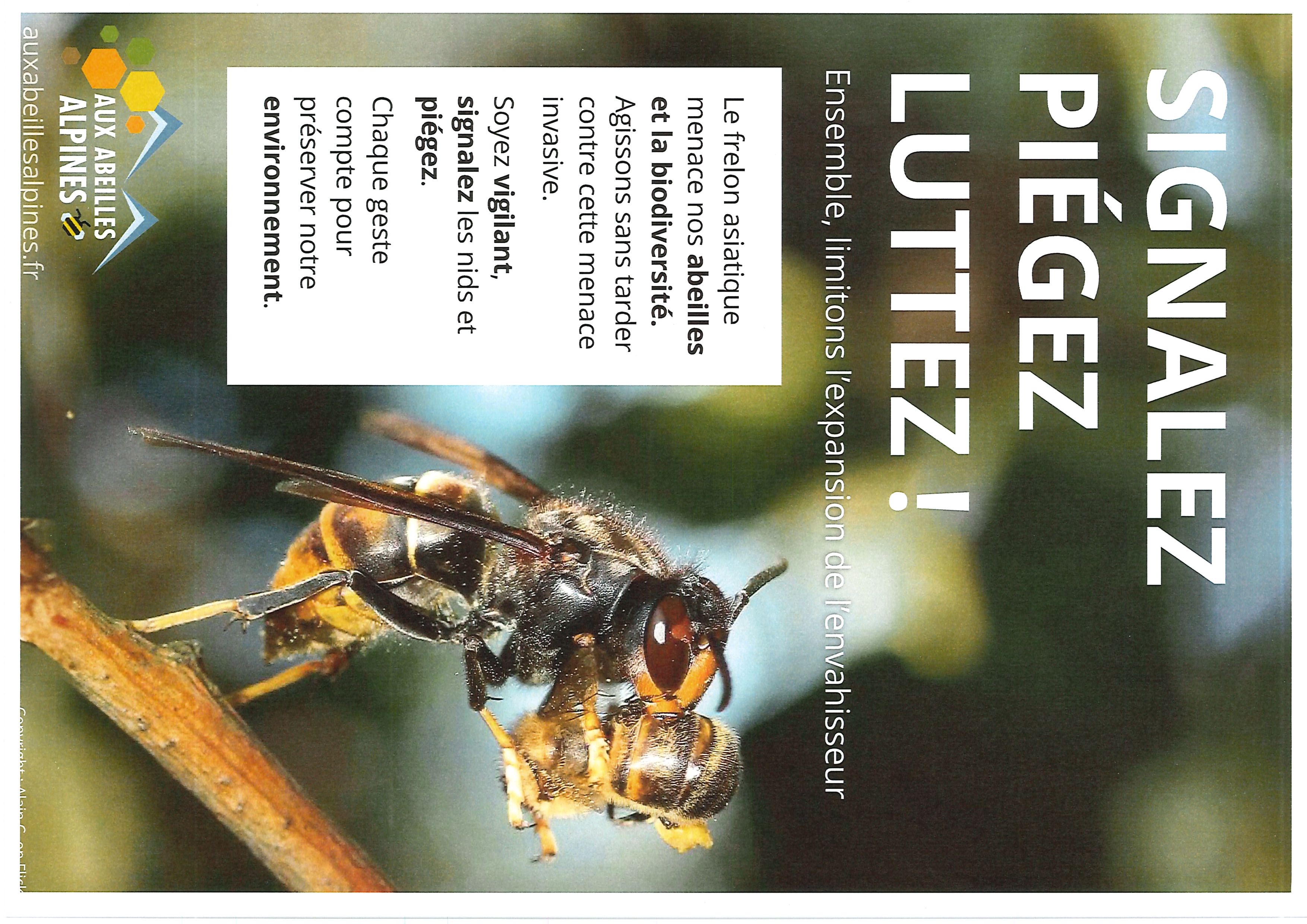 Affiche frelon 2024.jpg