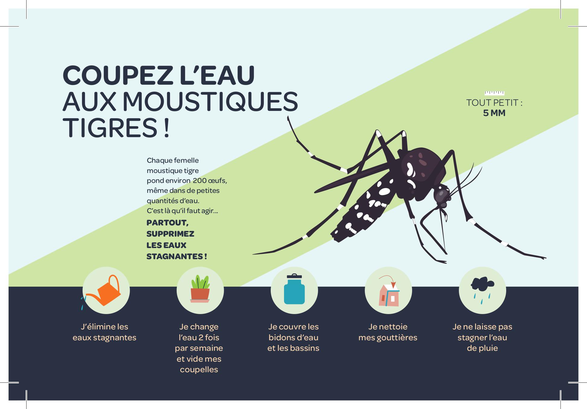 Flyer Projet ARS 2020 -1.jpg