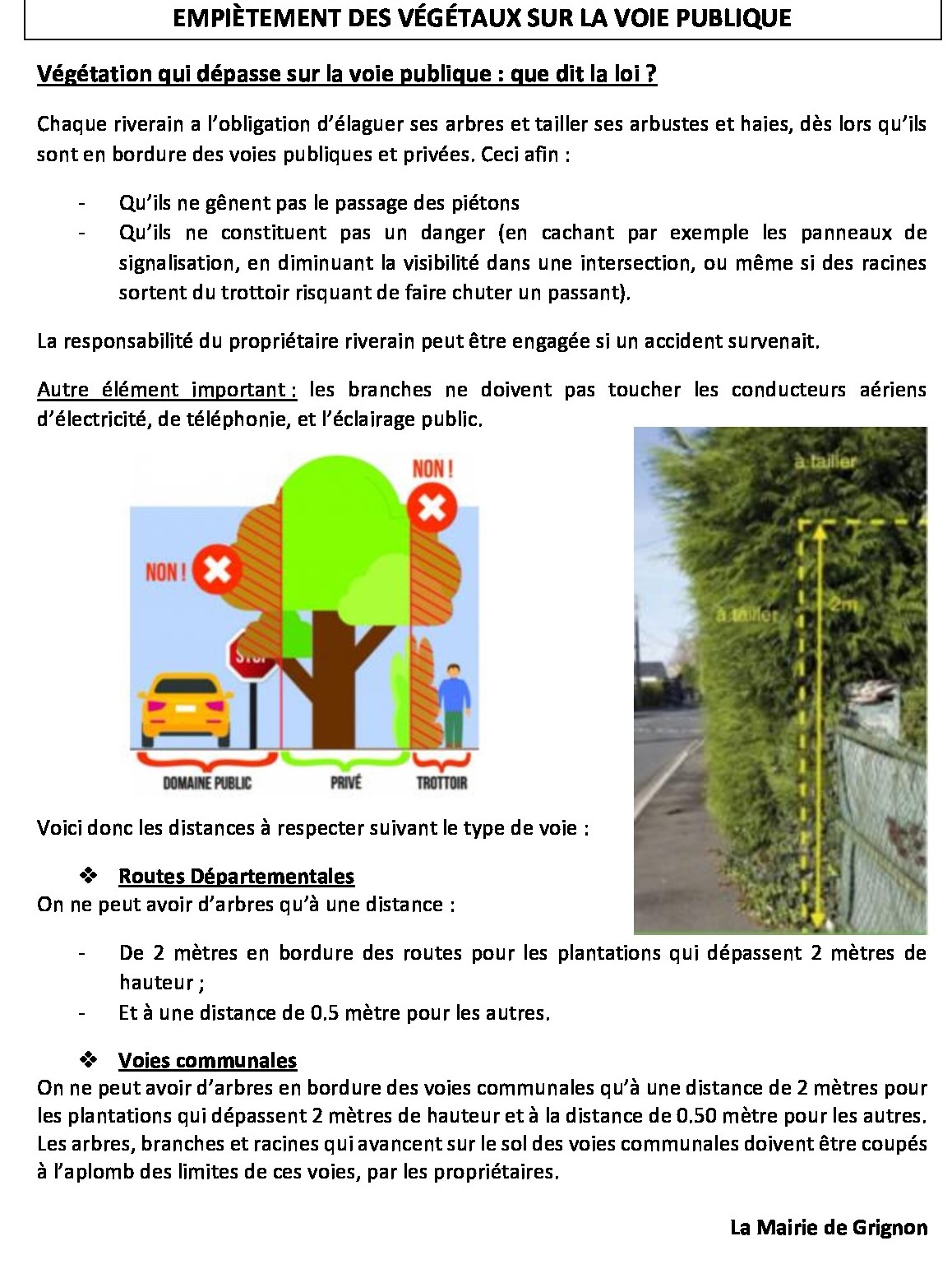 EMPIÈTEMENT-DES-VÉGÉTAUX-SUR-LA-VOIE-PUBLIQUE2.jpeg