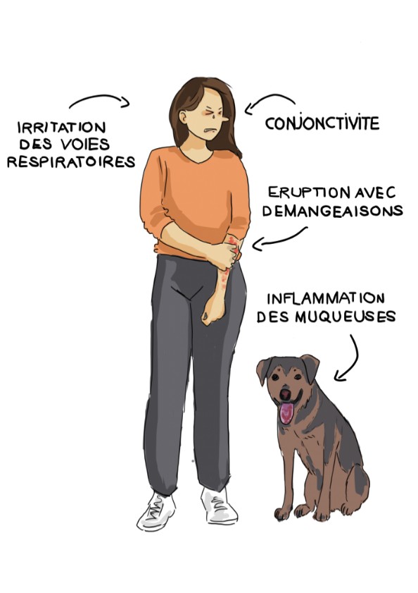 chenille image.jpg