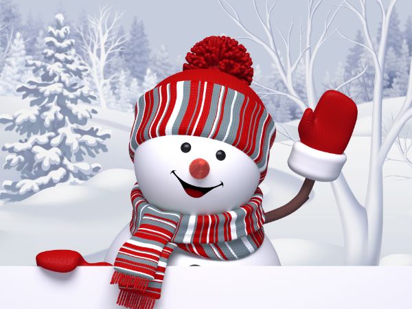 bonhomme de neige.jpg