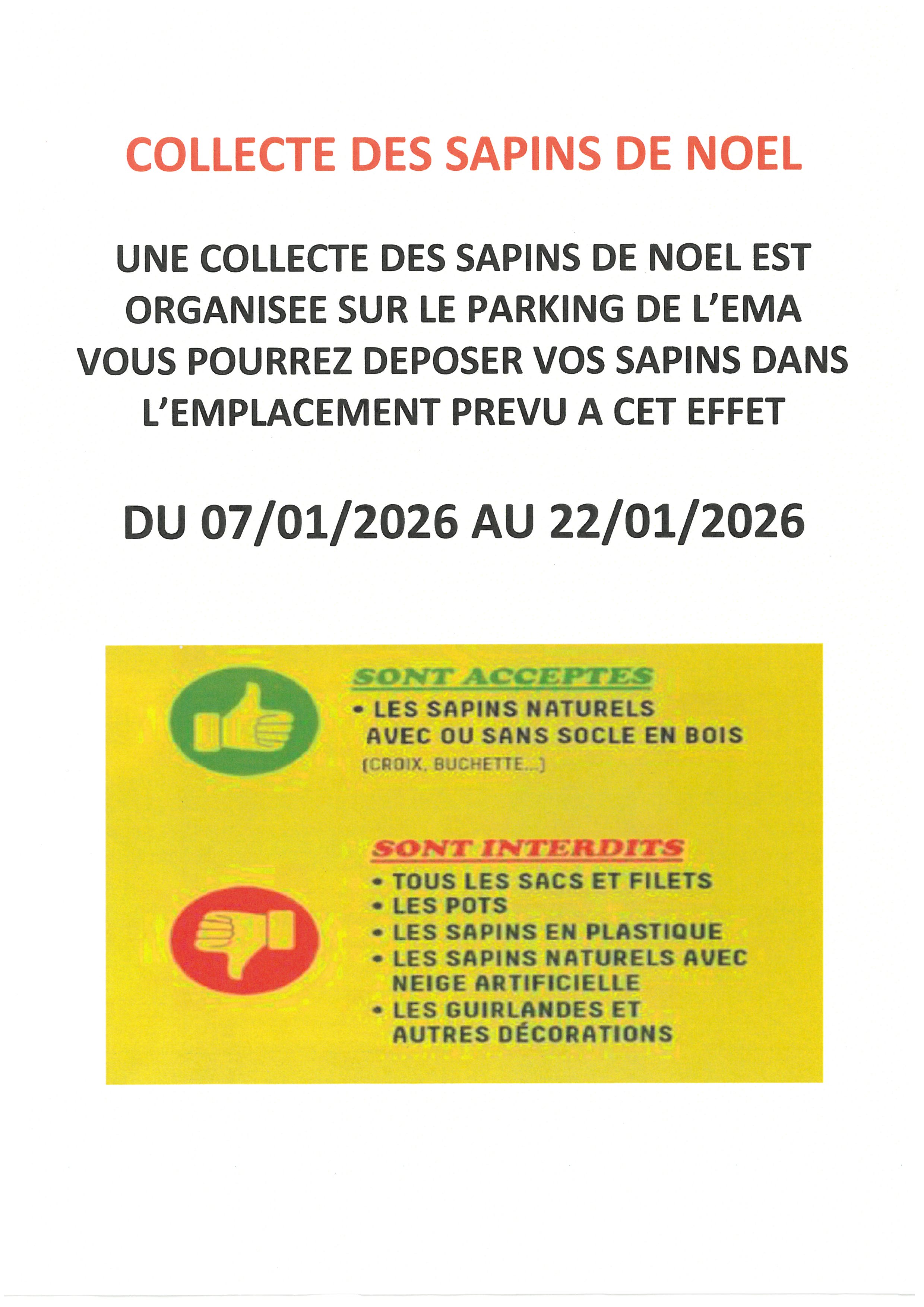 collecte des sapins de noel.jpg