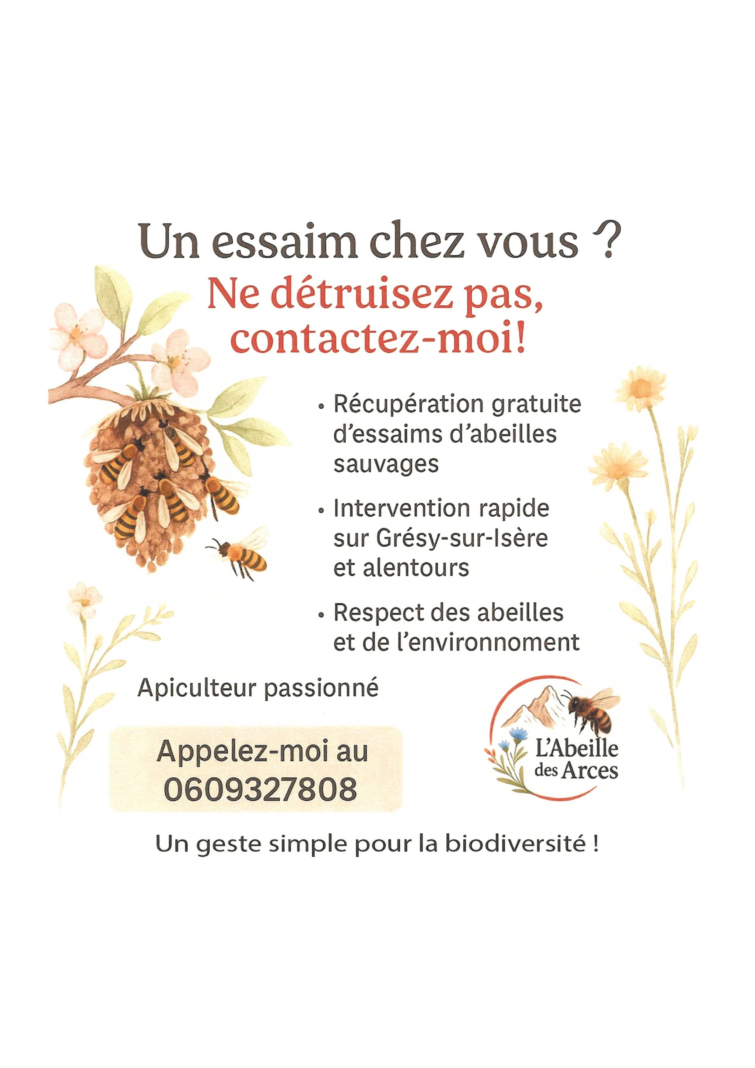 un essaim chez vous.jpg