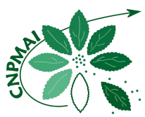 PLantes.png