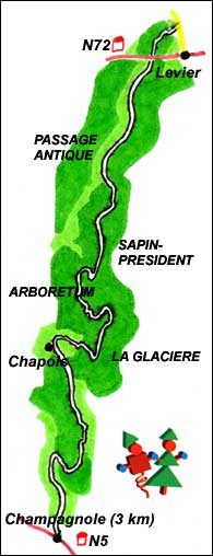 Route des Sapins 3.jpg