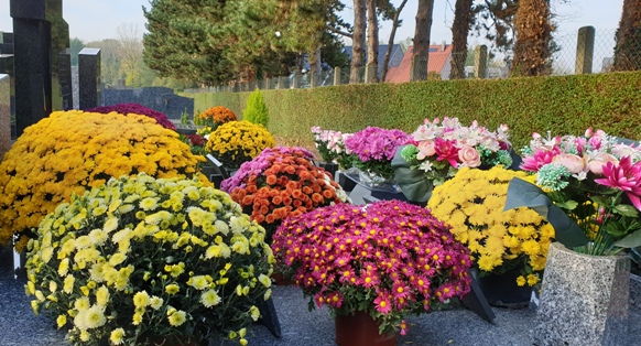 Cimetière fleurs.jpg