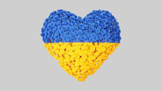 Ukraine coeur