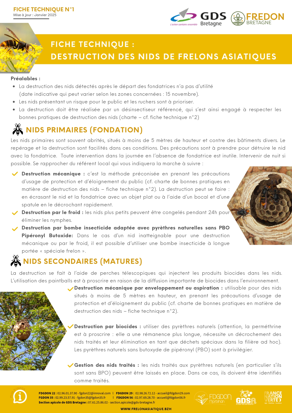 dpt-56-FICHE-TECHNIQUE-1-DESTRUCTION-DE-NIDS-DE-FRELONS-ASIATIQUES-1_page-0001.jpg