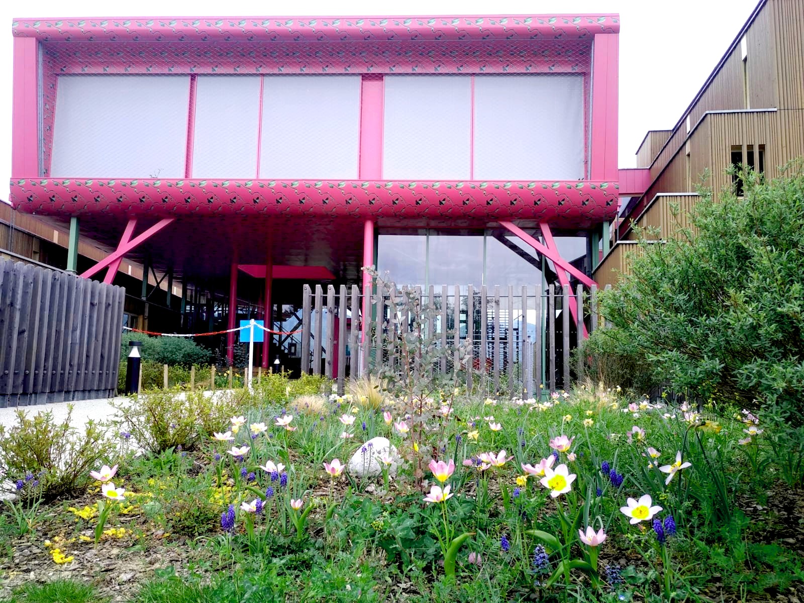 pôle printemps confinement.jpg