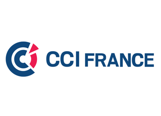 logo - CCI France.png