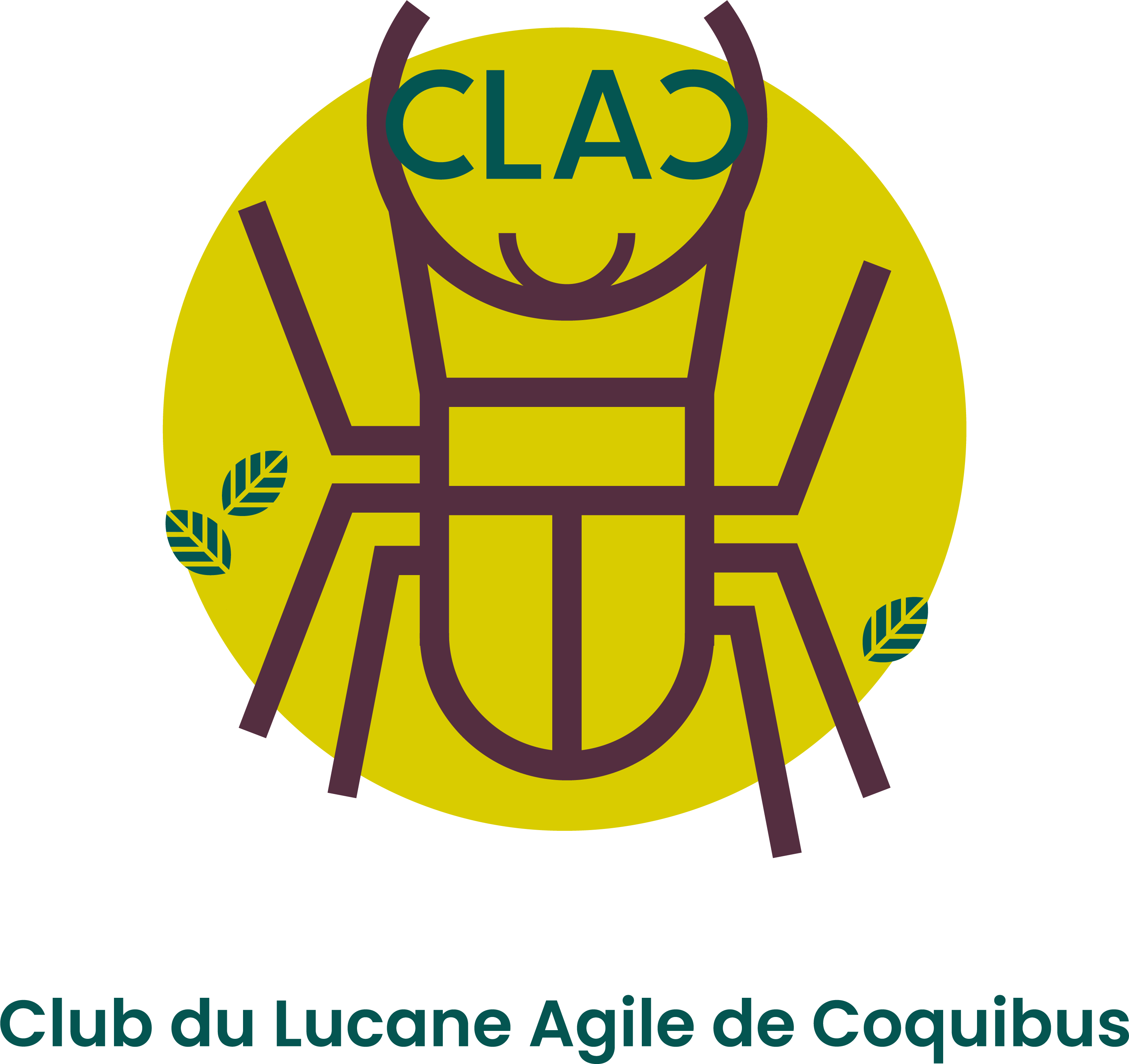Logo - Club de Lucane Agile du Coquibus.png