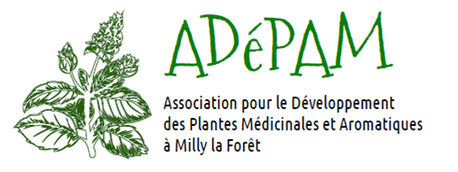 Logo-Adepam.png