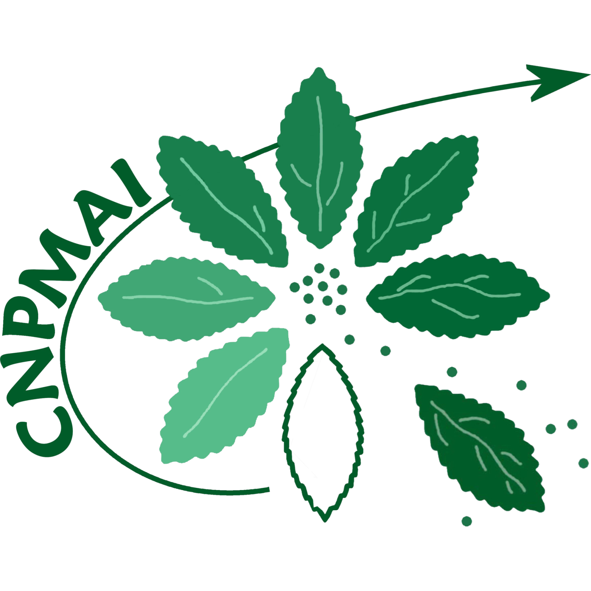 Logo - CNPMAI.png