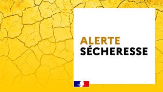 SECHERESSE.jpg