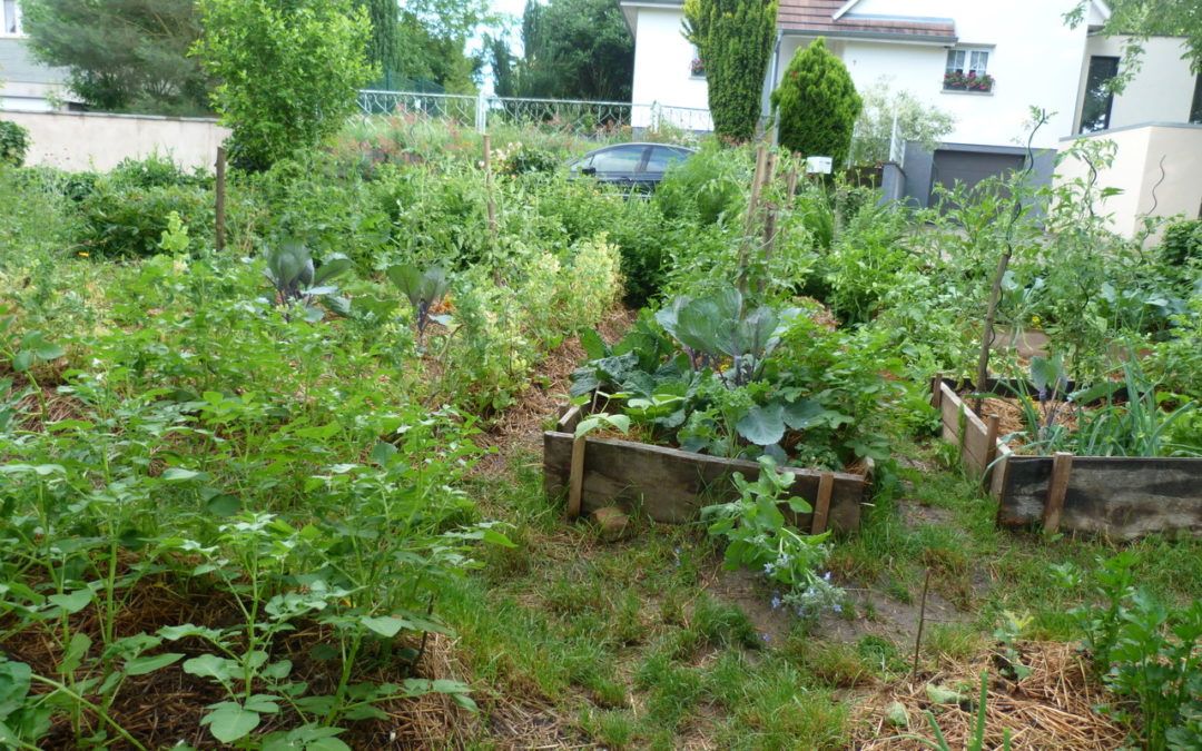permaculture-F-Robert.jpeg
