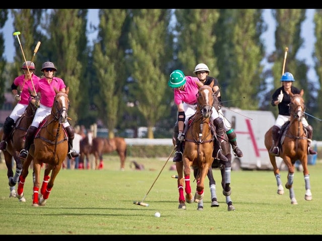 Polo club-min.jpg