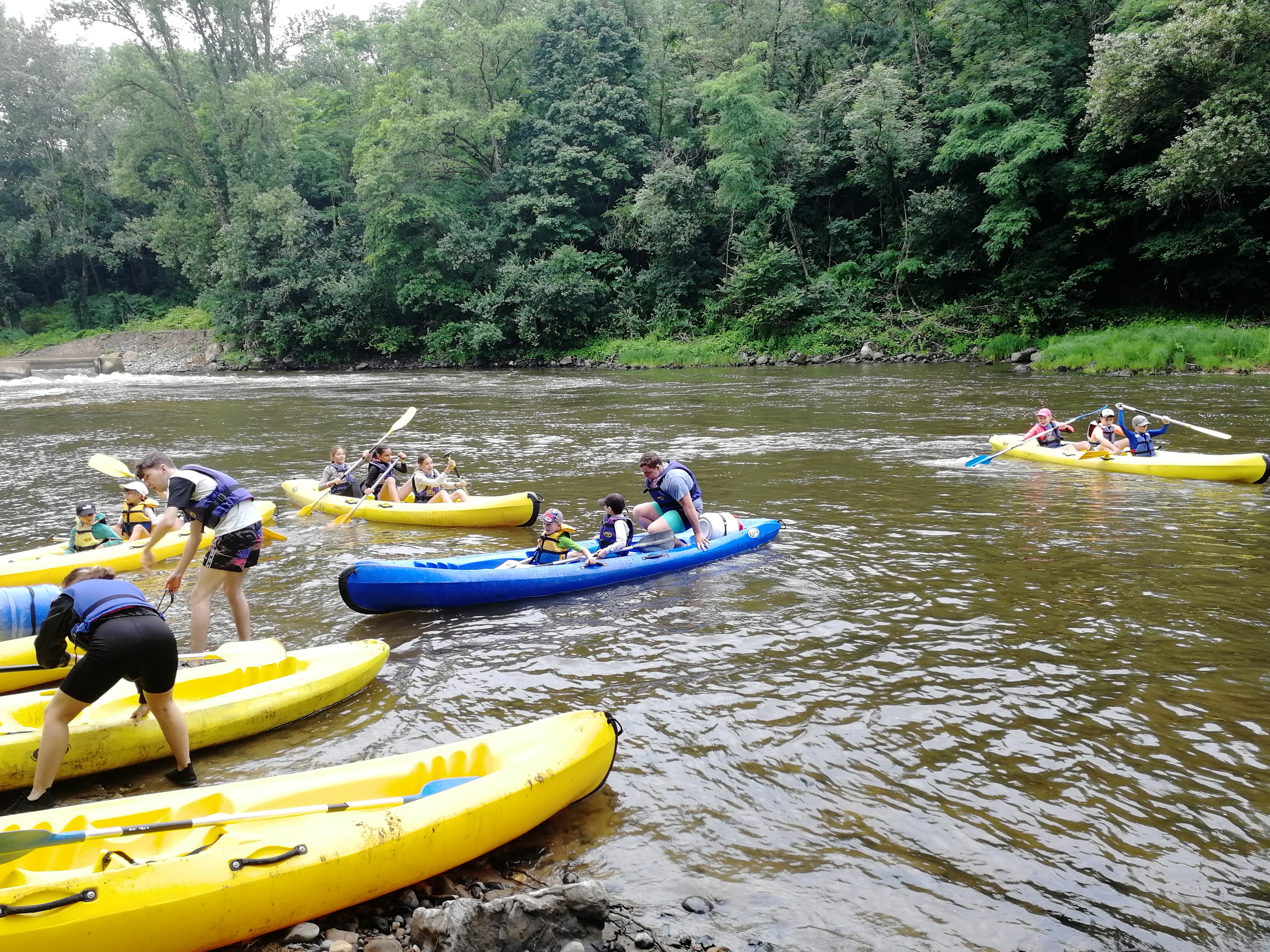 IMG_20240710_100303.jpg