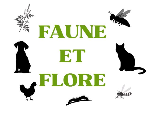 Faune et flore.JPG