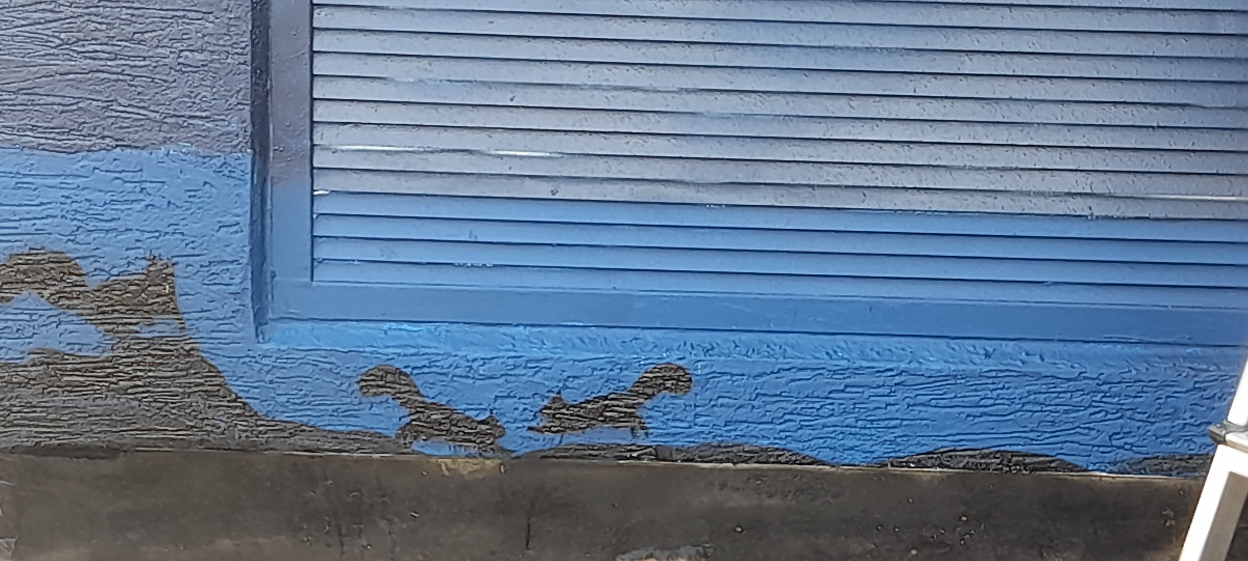 20240709_151823.jpg