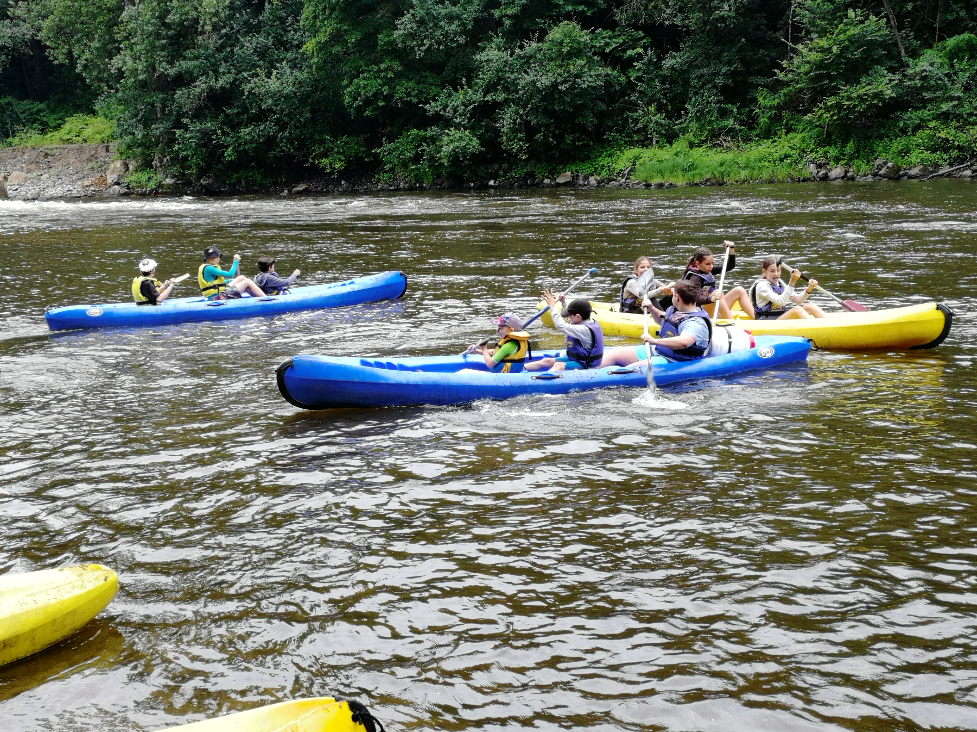 IMG_20240710_100319.jpg
