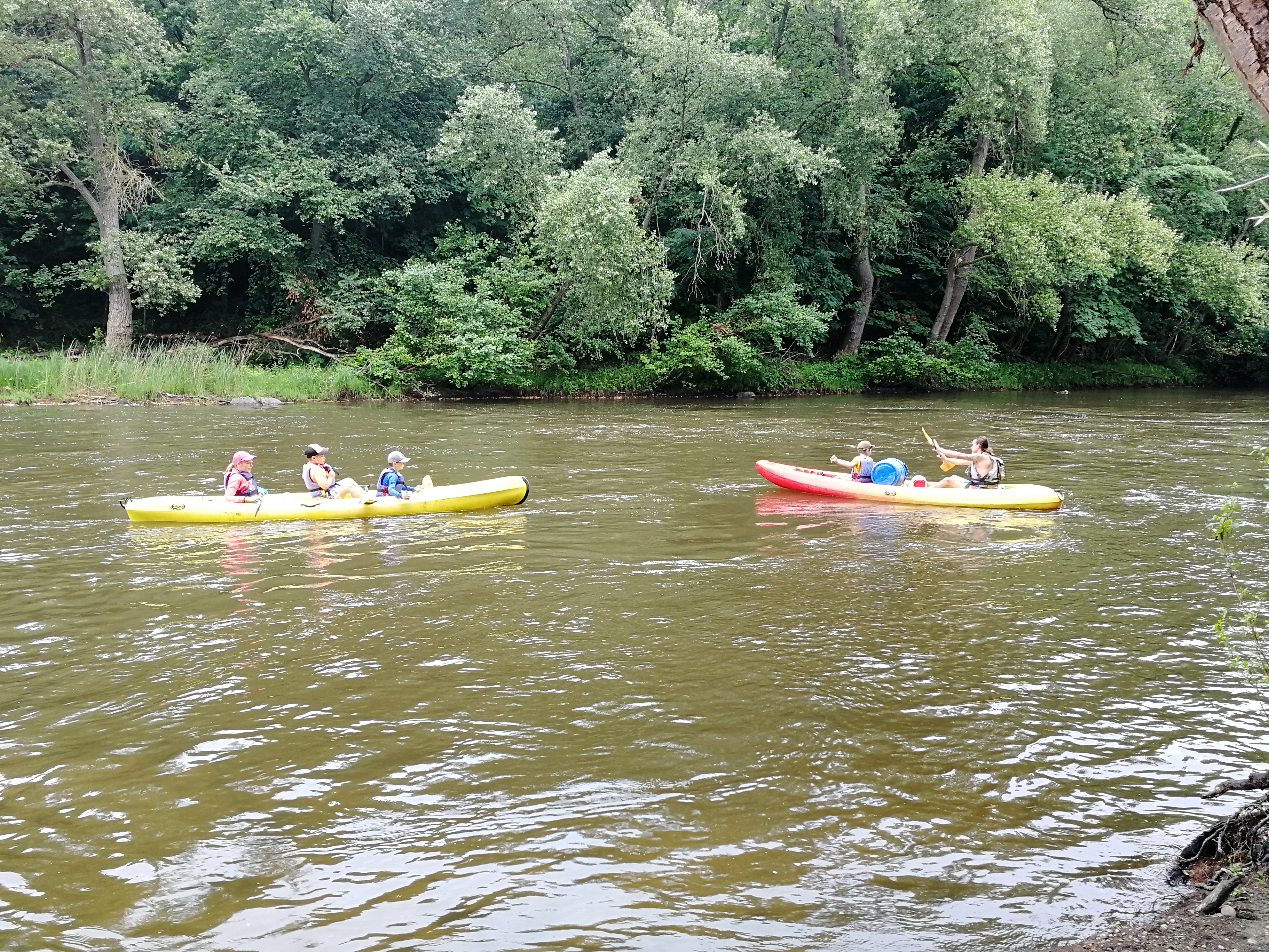 IMG_20240710_100309.jpg