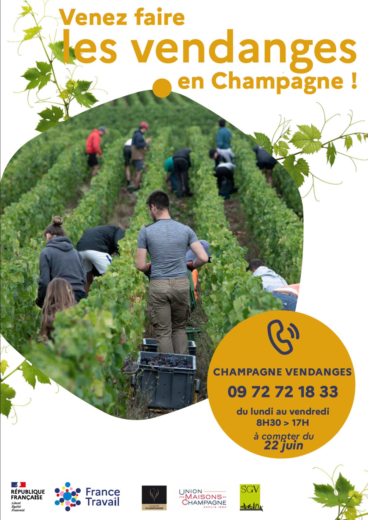 affiche vendanges.jpg