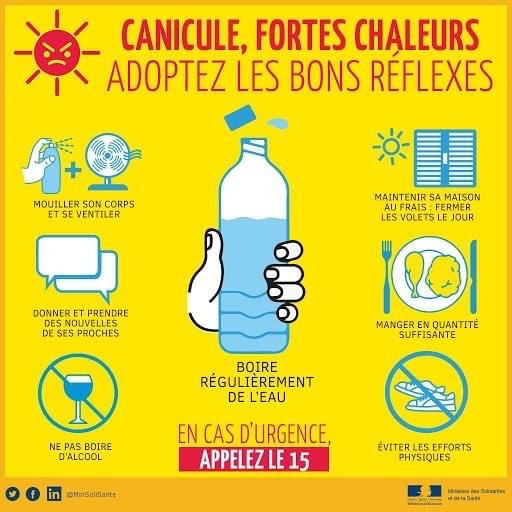 reflexes pendant la canicule.jpg