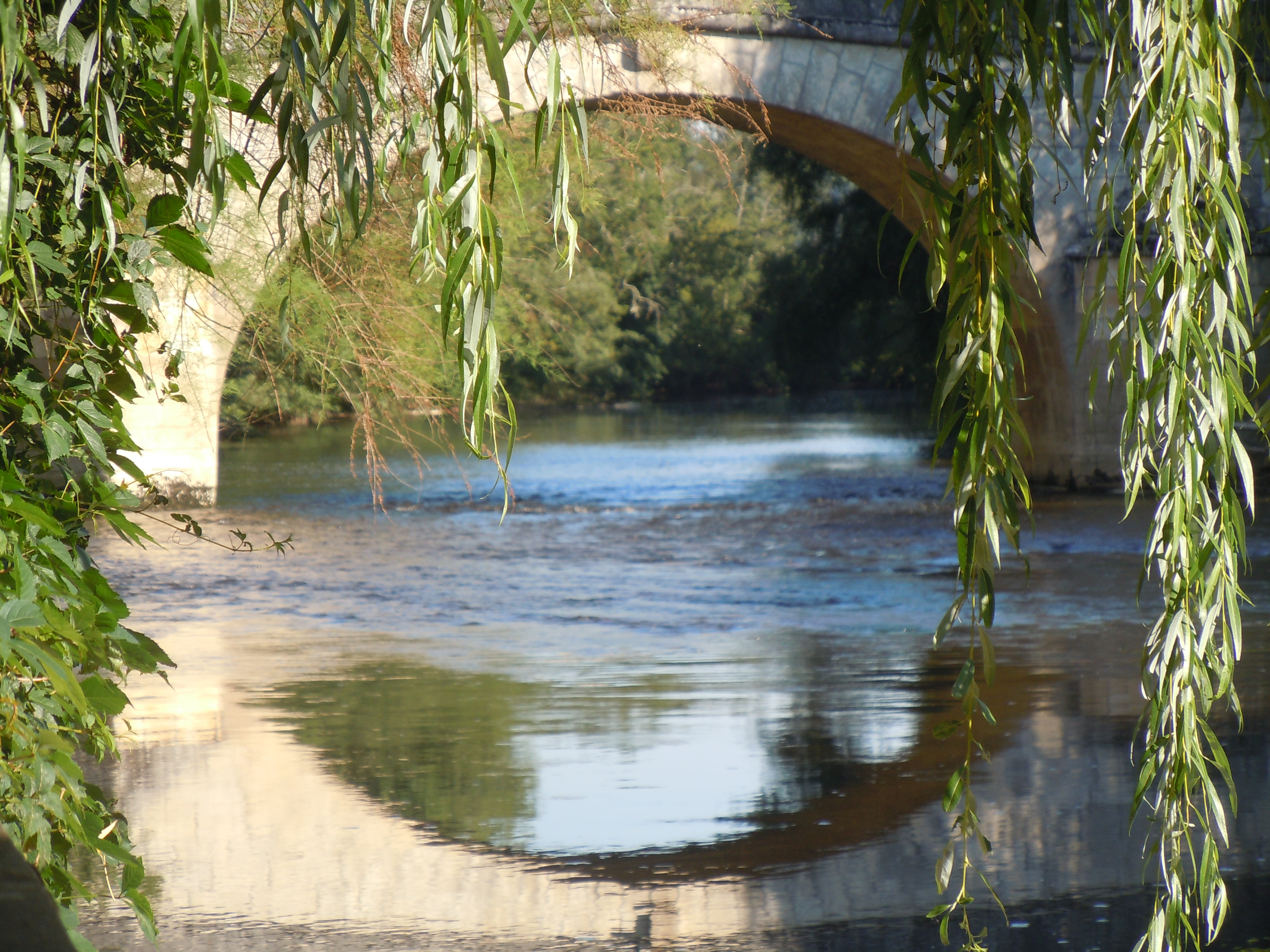 ARCHE DU PONT D FISCHER.JPG