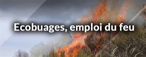 Emploi du feu page.jpg