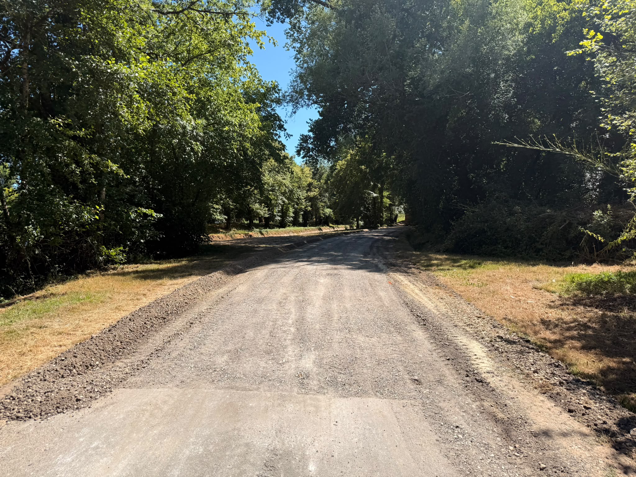 photo 3.jpg