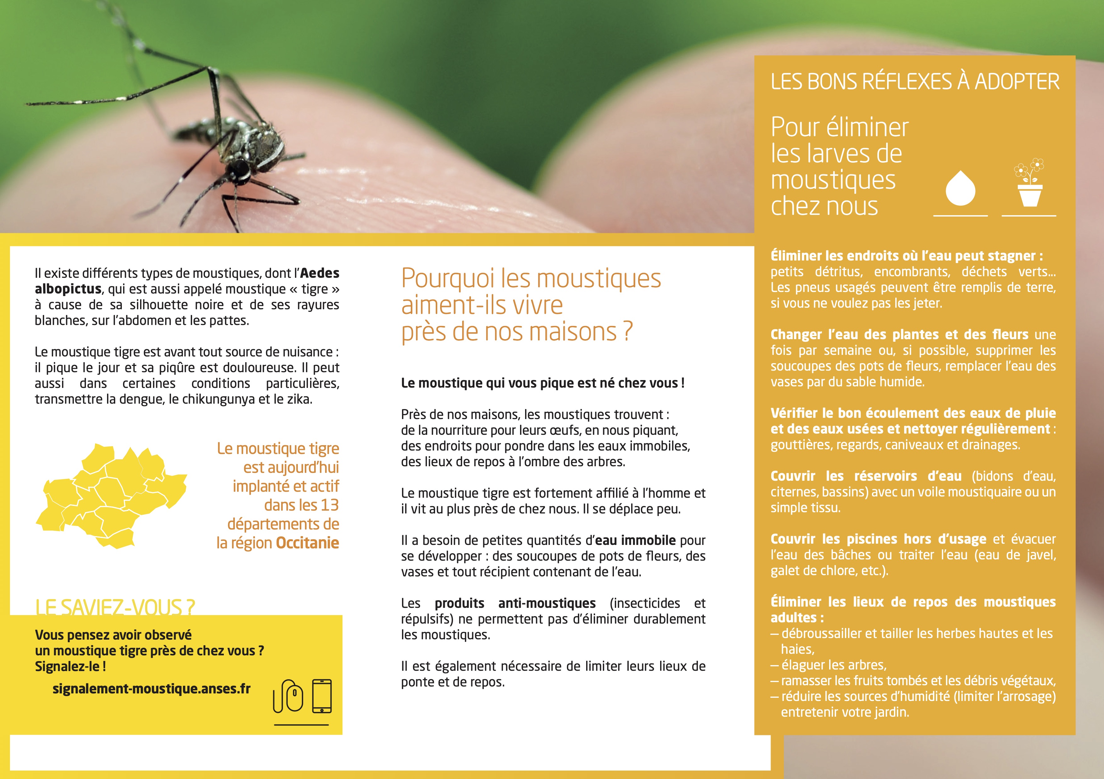 MoustiqueTigre_depliant_A4-2.jpg