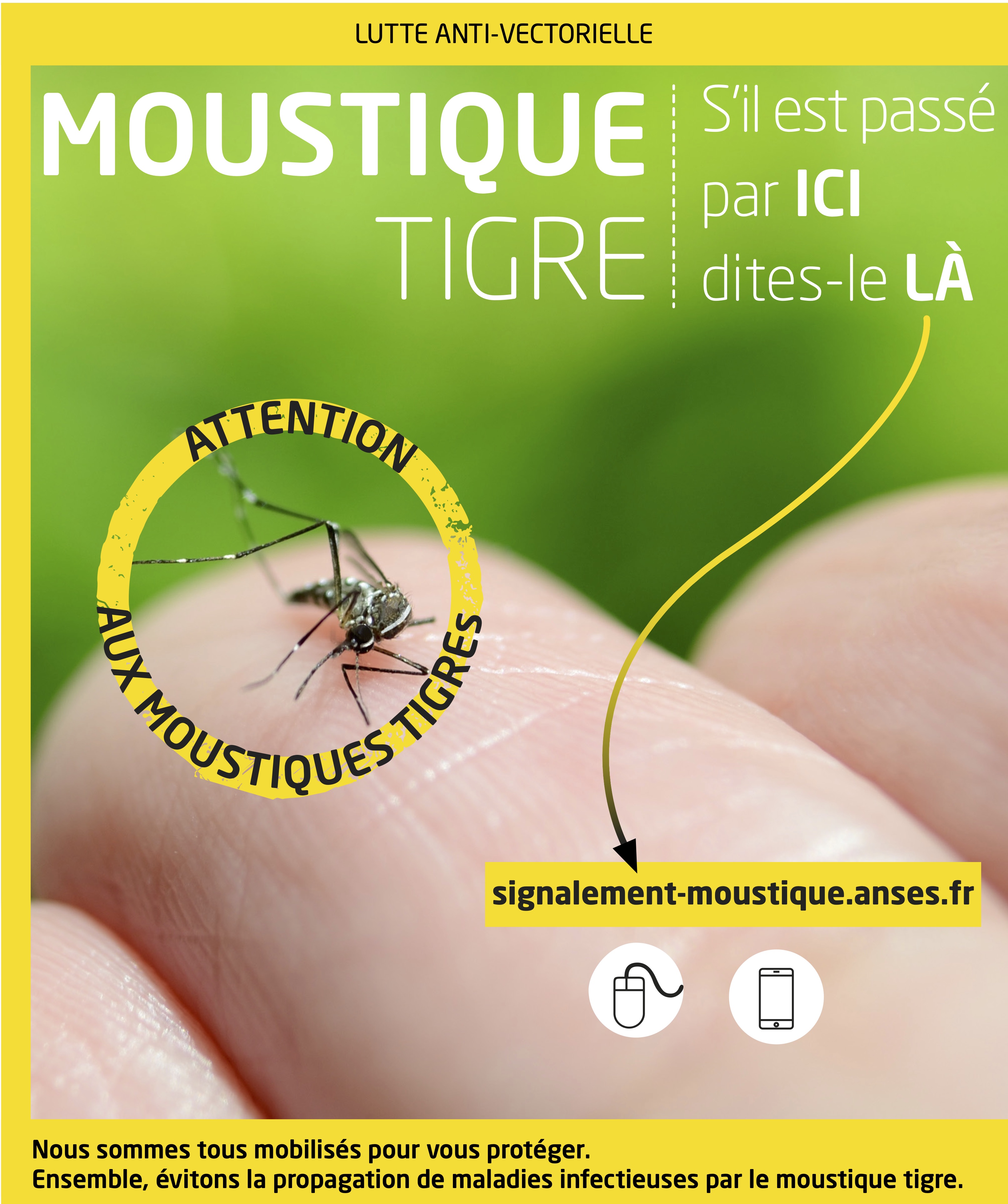 MoustiqueTigre_Signalement_A3.jpg