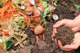 compost.jpg1.jpg